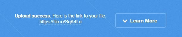 Anonymous File Sharing - File.io 2