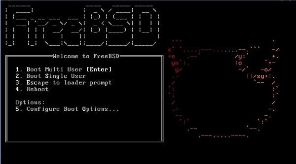 FreeBSD - Window Alternative