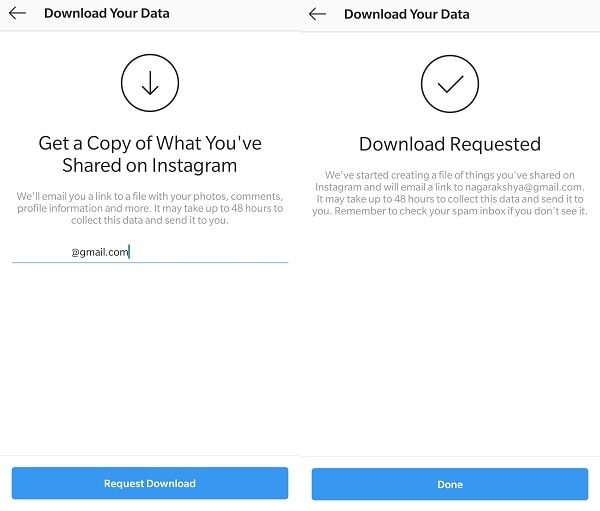 Instagram Data - Download Requested