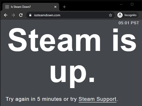 Is Steam Down