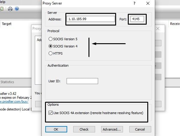 Enter Proxy Details in Proxifier