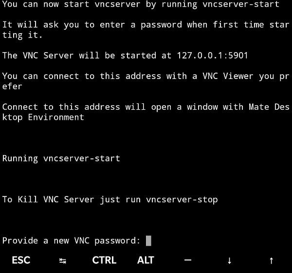 Provide a VNC Server Password for Linux