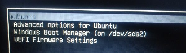 Dual Boot Ubuntu 20.04 and Windows 10 - Select Ubuntu