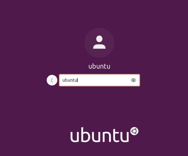 Login - Install Ubuntu 20.04 LTS on VMware Player