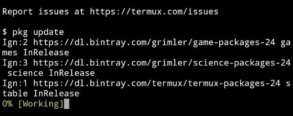 Run Package Update Command in Termux