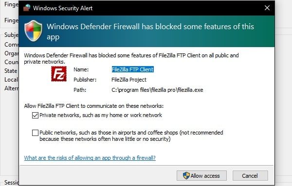 Allow FIleZilla FTP Client - Windows Defender Firewall