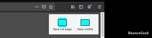 Save Full Page Firefox