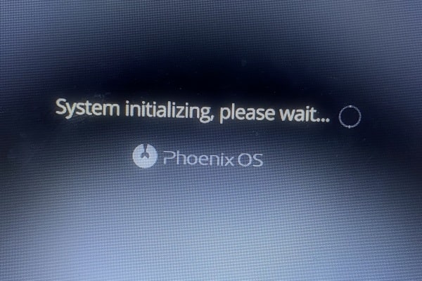 Phoenix OS System Initialization