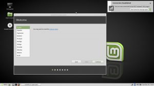 Мало свободного места на диске boot linux mint