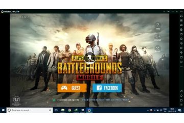 Install PUBG on PC