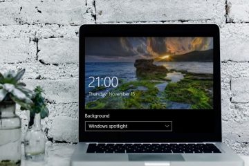 Windows Spotlight Not Working