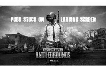 PUBG Stuck On Loading Screen