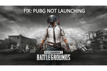 PUBG not launching after update