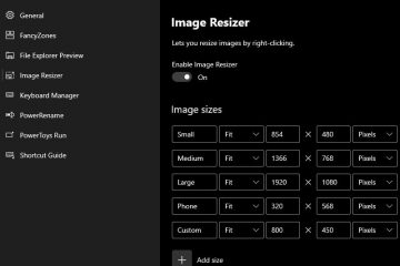 Resize Pictures using PowerToys in Windows 10