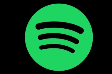 Download Music from Spotify Free