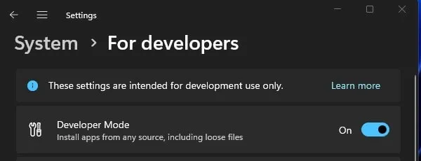 Enable Developer Mode in Windows 11 Settings  App