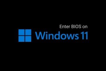 Enter BIOS on Windows 11