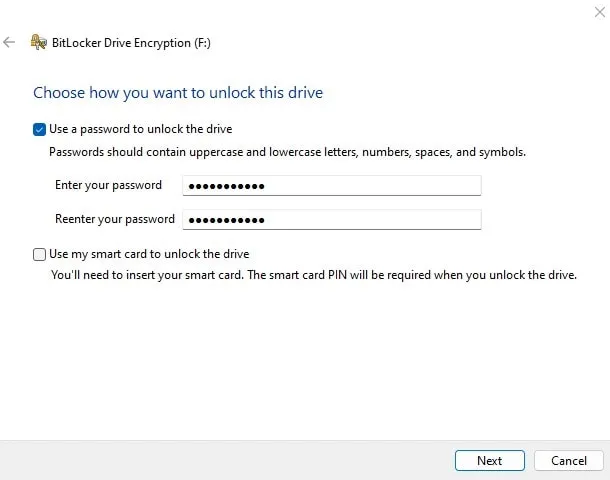 Enter a BitLocker Password to Unlock the Drive