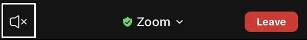 Mute Zoom Audio Output Android and iOS