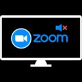 Mute Zoom Audio Output without Muting Computer