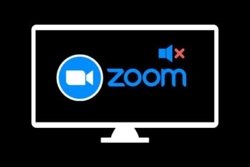 Mute Zoom Audio Output without Muting Computer