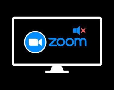 Mute Zoom Audio Output without Muting Computer