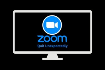 Zoom Quit Unexpectedly Windows 11