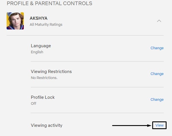 Check Netflix Viewing Activity