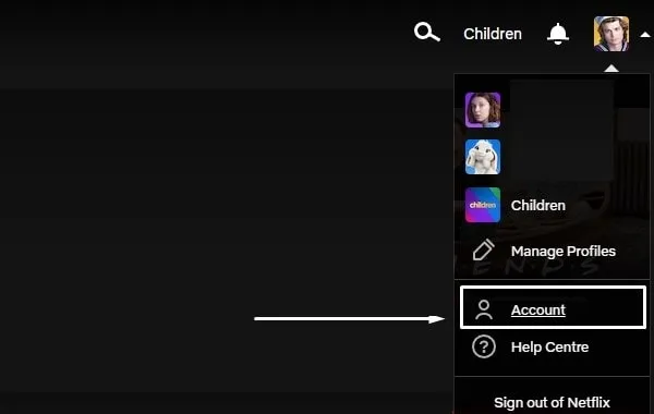 Netflix Account Settings (1)