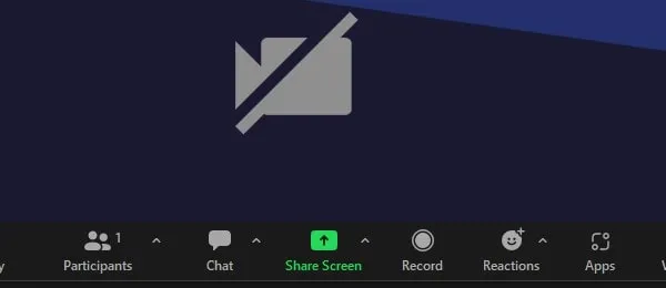 Share Netflix Screen on Zoom