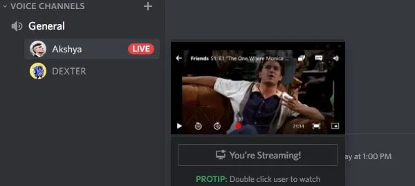 Streaming Netflix on Discord Server