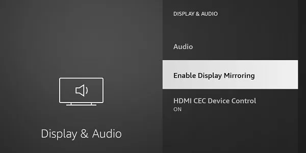 Enable Display Mirroring