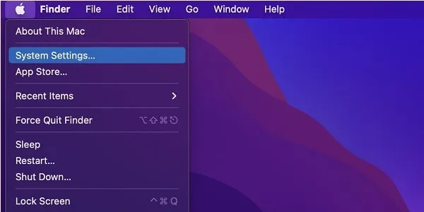 Open System Settings in macOS Sequoia