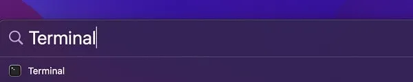 Open macOS Terminal in Spotlight Search