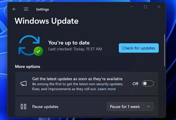 Windows 11 Check for Updates