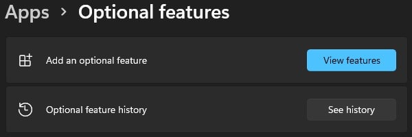 Add an optional feature view features