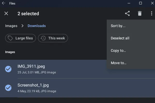 Computer Images in WSA