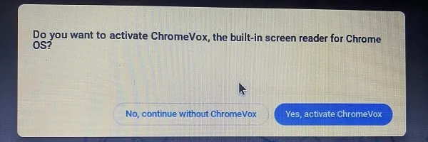No Continue without ChromeVox on Chrome OS Flex