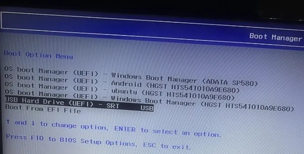 Select USB Drive to Boot Google Chrome OS Flex
